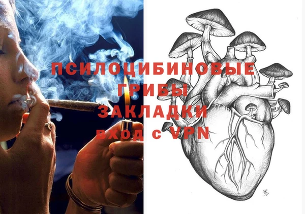 стафф Аркадак