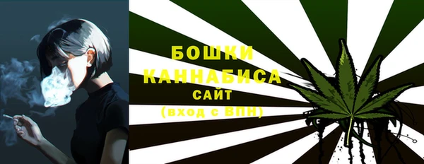 стафф Аркадак