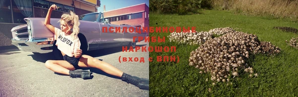 стафф Аркадак