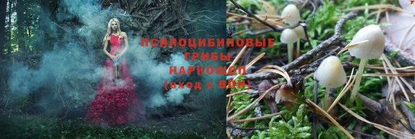 гидропоника Арсеньев