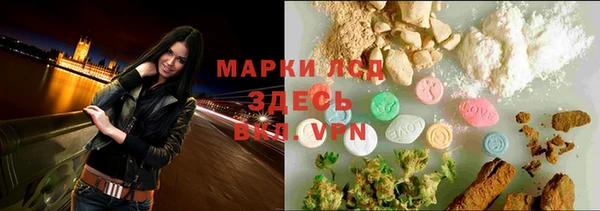 стафф Аркадак