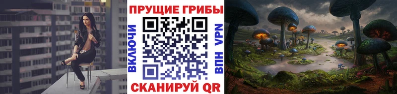 Псилоцибиновые грибы Cubensis  сколько стоит  Ишим 